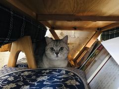 -不舍昼夜咖啡馆