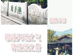-杭州半山国家森林公园