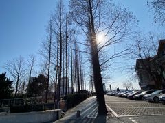 -汇泉王朝大饭店-旋转餐厅(南海路店)