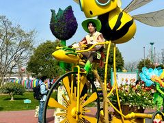 -荷兰花海