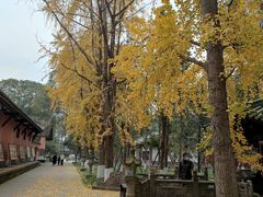 -宝光寺