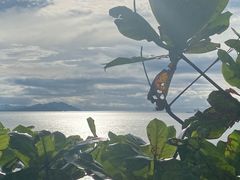 -三亚西岛海洋文化旅游区