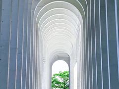 -中国宣纸文化园