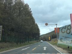 -塞罕坝国家级自然保护区