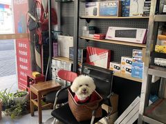 -千机网·翎杰手机电脑维修中心(上海海阳路店)