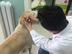 -纳吉亚猫专科动物医院博雅分院