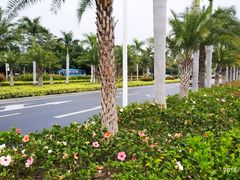 -鹭江潮餐厅•福建菜(鹭江佲家酒店)