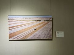 -南湖市民广场-乌鲁木齐美术馆