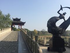 -东湖落雁景区