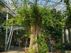 -北京植物园-展览温室