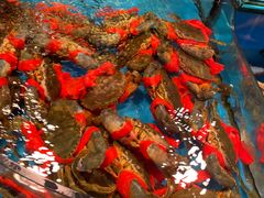 -谊荣海鲜大牌档(石湖店)
