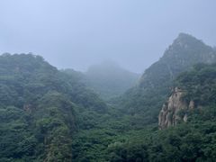 -大岭沟猕猴桃谷风景区