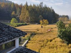 -塔川景区