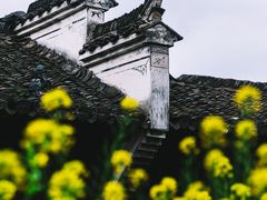 -篁岭景区