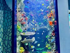 -海合安青岛极地海洋公园