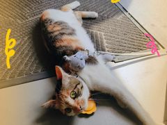 -Again Coffee Roaster(香蜜湖店)