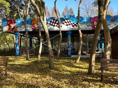 -上海滨江森林公园