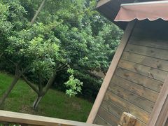 -张家港金凤凰度假村温泉