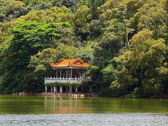 -深圳仙湖植物园