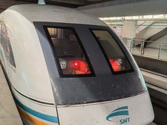 -龙阳路磁悬浮列车总站-停车场