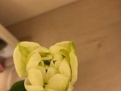 -中海环宇荟
