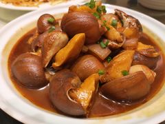 螺肉-永泰望湖酒店