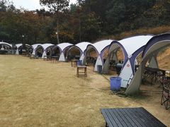 -龙寺生态园