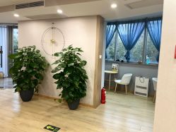 -酉嘉瑜伽YO+YOGA