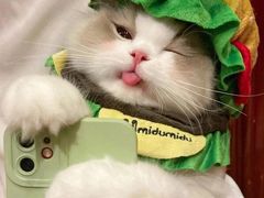 -紫金食坊(江南西路店)