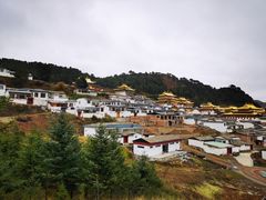 -四川郎木寺镇