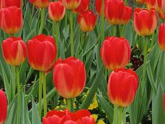 -杭州师范大学(下沙校区)