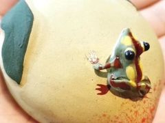 -屈家岭文化遗址