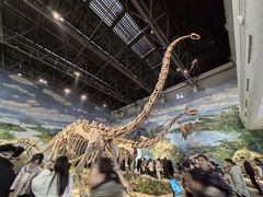 -自贡恐龙博物馆