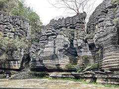 -梭布垭石林景区