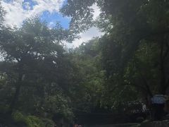 -大围山国家森林公园