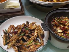 -豫丰汇河南名菜楼(武记餐饮)