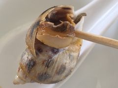 -御唐府海珊瑚主题餐厅