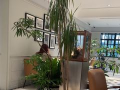 -一尺花园(安和花园店)