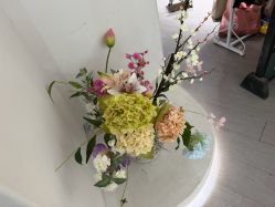 -星光兔·西扶海棠·写真馆(景德镇店)