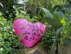 -宝生月子中心(独栋园林·福田店)