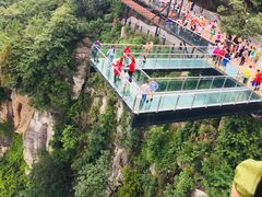 -梦幻奥陶纪景区