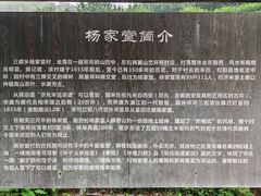 -杨家堂村