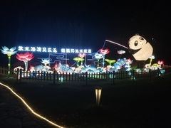 -大塘金香草谷