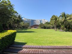 -海棠湾洲际-涛·海底餐厅·美人鱼·自助餐·海底隧道