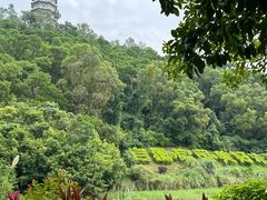 -深圳国际园林花卉博览园