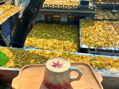 -16毫米咖啡&酒吧(南锣鼓巷店)