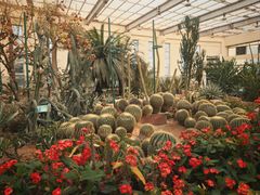 -石家庄市植物园