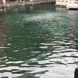 济南行