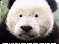 -成都天府丽都喜来登饭店