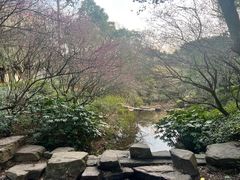 -杭州半山国家森林公园